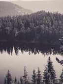 Topuklu Stiletto Ayakkabı