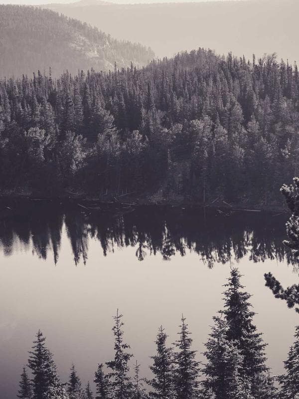 Topuklu Stiletto Ayakkabı