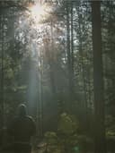 Topuklu Stiletto Ayakkabı - Görsel 3