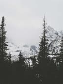 Spor Tayt - Görsel 3