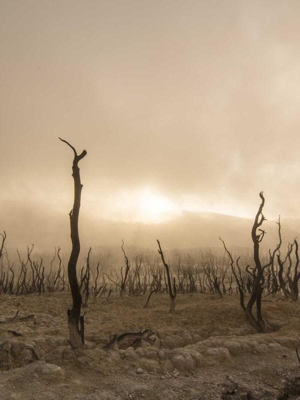 Slim Fit Oxford Gömlek