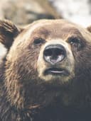 Kaşmir Triko Kazak - Görsel 2