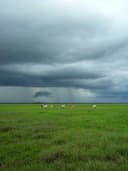 Çiçek Desenli Midi Elbise - Görsel 3