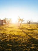 Kadife Geniş Paça Pantolon