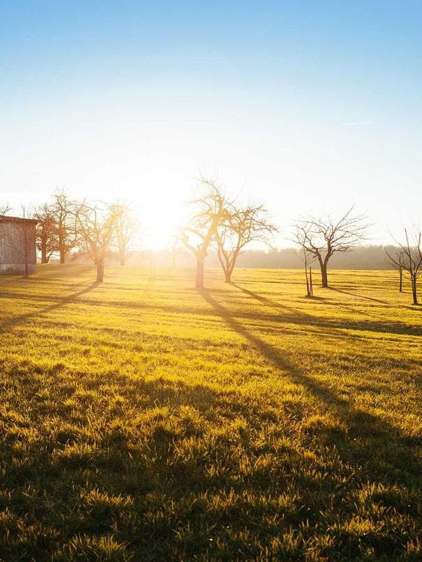Kadife Geniş Paça Pantolon