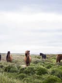 Oversize Baskılı T-Shirt