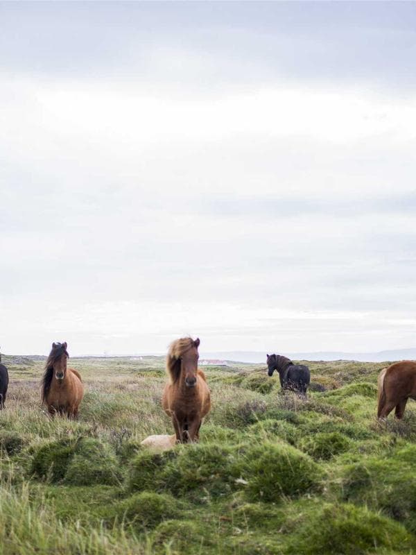 Oversize Baskılı T-Shirt