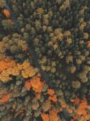 Bohem Uzun Elbise - Görsel 2