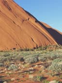 Oversize Baskılı T-Shirt - Görsel 2