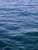 Kadife Geniş Paça Pantolon - Görsel 3