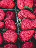 Vintage Denim Ceket - Görsel 2