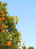 İpek Saten Bluz - Görsel 2