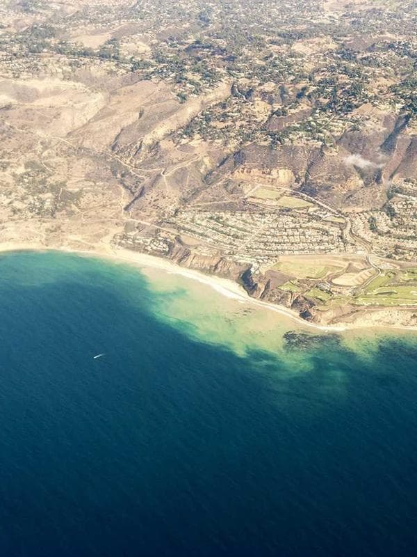 Çiçek Desenli Midi Elbise