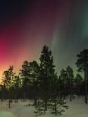 Çiçek Desenli Midi Elbise - Görsel 2