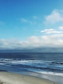 Çiçek Desenli Midi Elbise