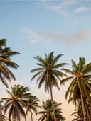 Çiçek Desenli Midi Elbise - Görsel 3