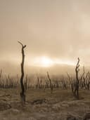 El Örgüsü Hırka - Görsel 2