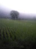 Deri Biker Ceket - Görsel 3