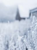 Gerçek Deri Sırt Çantası