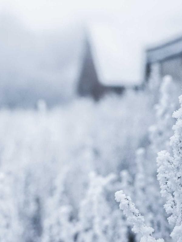 Gerçek Deri Sırt Çantası