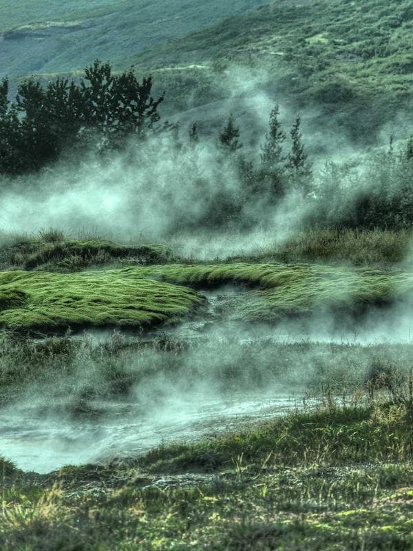 Yüksek Bel Wide Leg Pantolon