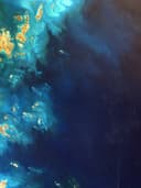 Yüksek Bel Wide Leg Pantolon - Görsel 2