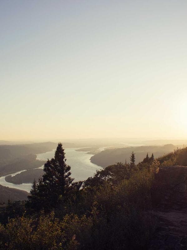 Çiçek Desenli Midi Elbise