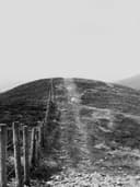 Kaşmir Triko Kazak - Görsel 3