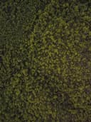 Çiçek Desenli Midi Elbise