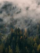 Crop Top Bluz - Görsel 2