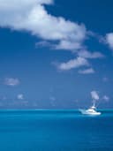 Çiçek Desenli Midi Elbise - Görsel 2