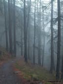 El Örgüsü Hırka - Görsel 3