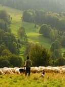 İpek Şal - Görsel 3