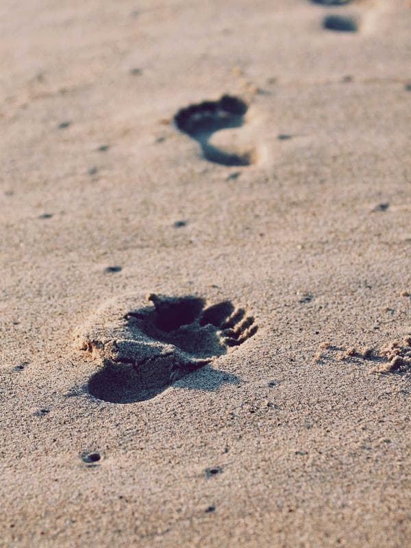 Slim Fit Oxford Gömlek