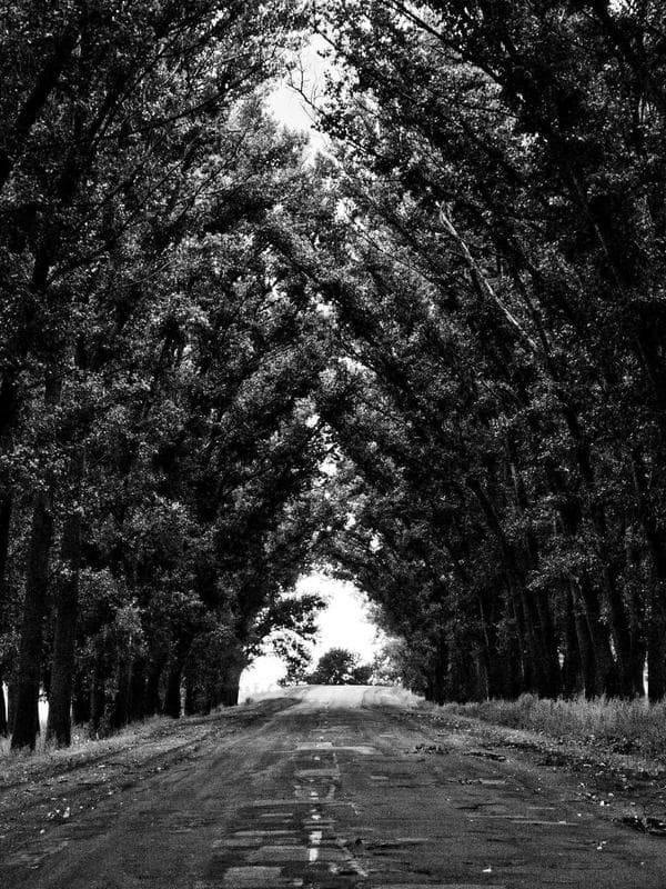 Gerçek Deri Sırt Çantası