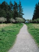 İpek Saten Bluz - Görsel 2