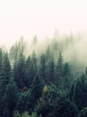 Yaz Koleksiyonu Şort