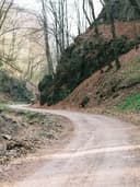 Yün Palto - Görsel 2