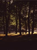 Yün Palto - Görsel 3