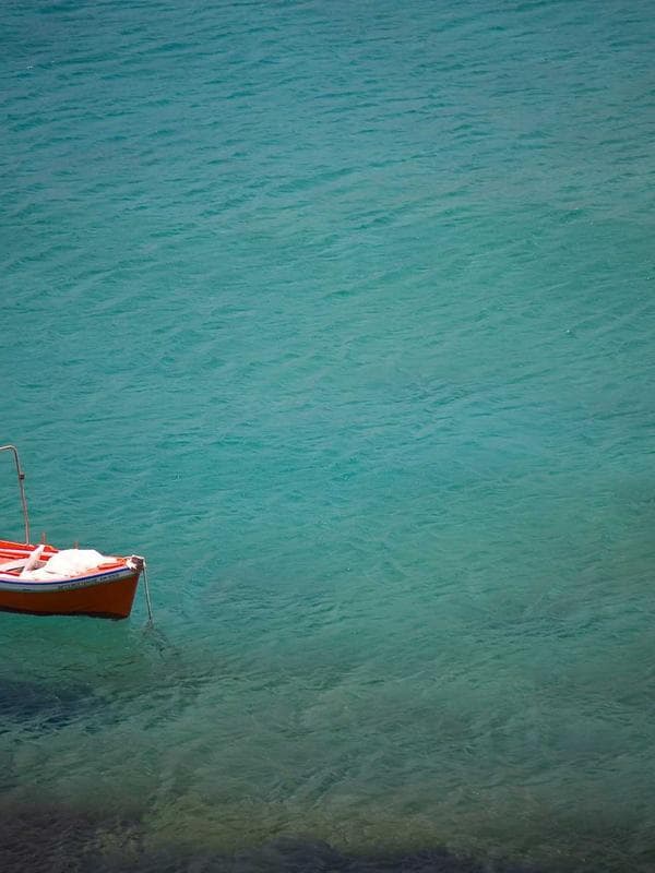 Yüksek Bel Wide Leg Pantolon