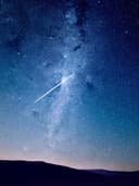 İpek Şal - Görsel 3