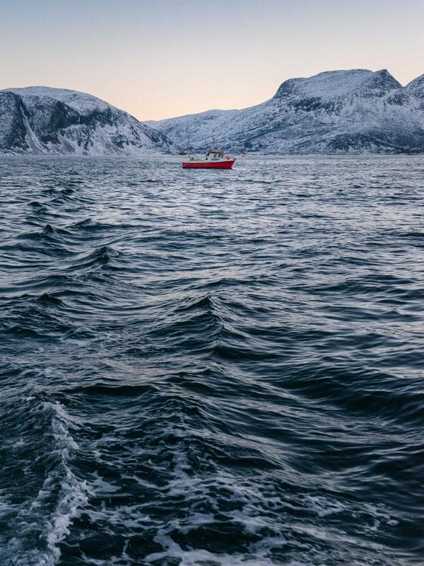 Sneaker Spor Ayakkabı