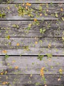 El Örgüsü Hırka - Görsel 2