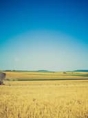 Chino Pantolon - Görsel 3