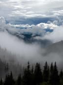 Platform Sandalet - Görsel 2