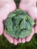 Bohem Uzun Elbise - Görsel 2