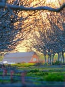 Spor Tayt - Görsel 3