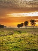 Blazer Ceket - Görsel 2