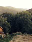 Yaz Koleksiyonu Şort