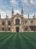 Yaz Koleksiyonu Şort - Görsel 2